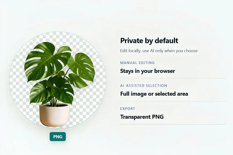 Transparent-background monstera plant